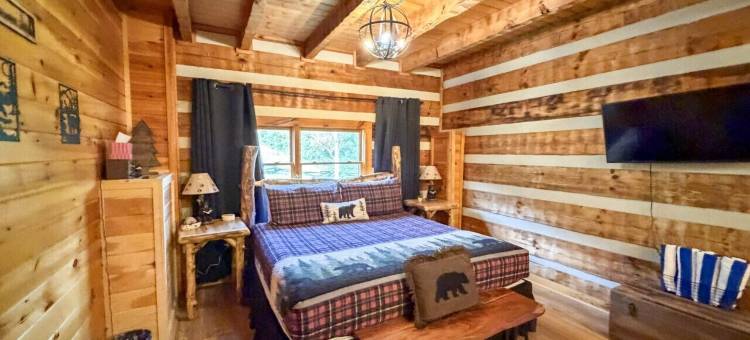 Boujee Bear- 现代化小木屋，距离多莉山主题公园仅数分钟(Mins to Dollywood Renovated Boujee Bear Cabin)图片