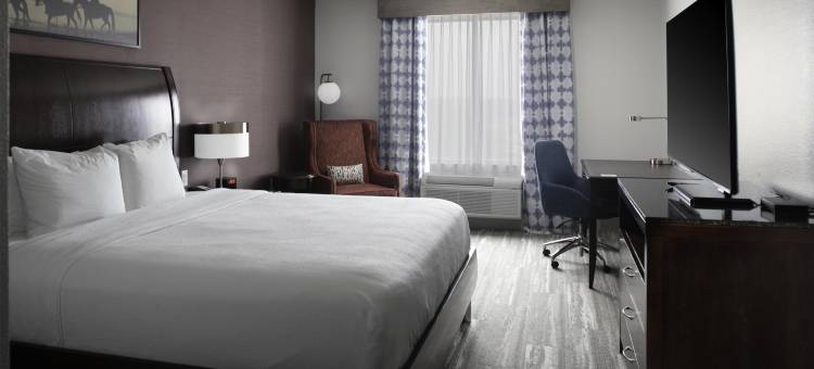 希尔顿花园旅馆-泰克瑟马活动中心丹尼森谢尔曼(Hilton Garden Inn Denison/Sherman/at Texoma Event Center)图片