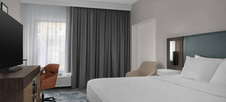 格林维尔/斯巴坦堡I-85希尔顿欢朋旅馆&套房酒店(Hampton Inn & Suites Greenville/Spartanburg I-85)图片