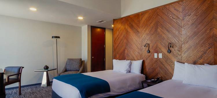 阿提克斯酒店(Atix Hotel)图片