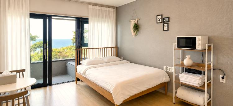 济州岛Feeling度假村(Jeju Blue Els Spa & Pool Pension)图片