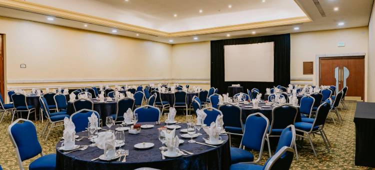 梅尼达假日酒店(Holiday Inn MERIDA by IHG)图片