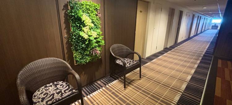 富山蔓藤酒店(Toyama Manten Hotel)图片