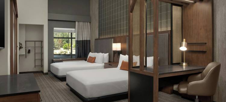 斯廷博特斯普林斯SpringHill Suites酒店(SpringHill Suites by Marriott Steamboat Springs)图片