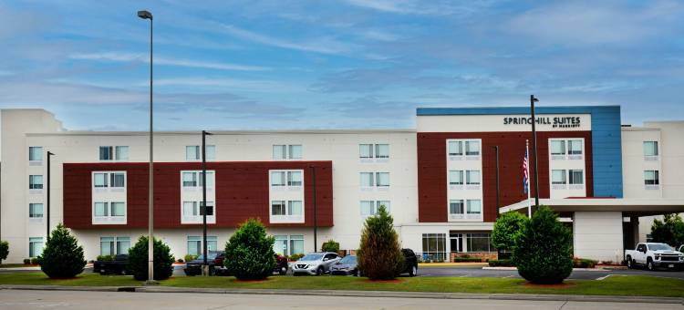 巴吞鲁日冈萨雷斯SpringHill Suites酒店(SpringHill Suites Baton Rouge Gonzales)图片