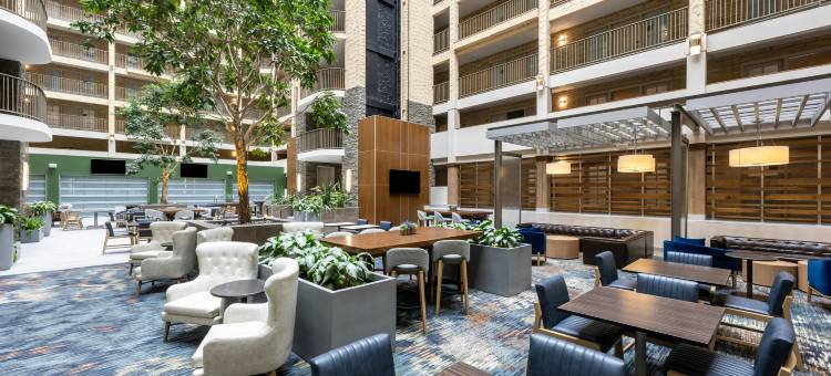 布卢明顿伊代纳希尔顿安泊酒店(Embassy Suites by Hilton Bloomington Edina)图片
