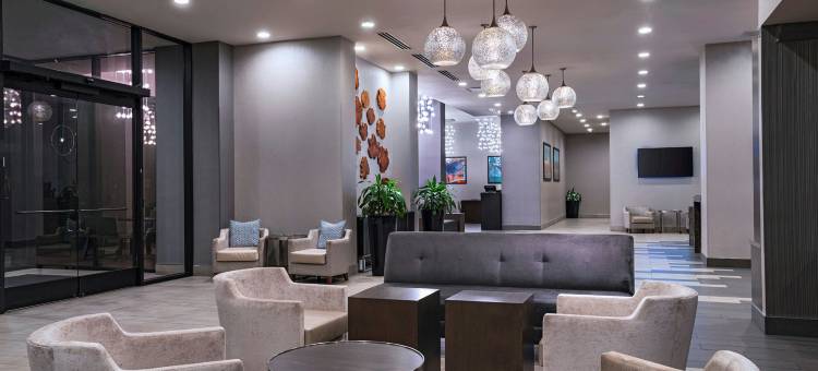 希尔顿休斯顿广场/医疗中心酒店(Hilton Houston Plaza/Medical Center)图片