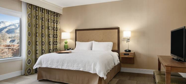 希尔顿欢朋酒店-不里格姆城(Hampton Inn Brigham City)图片