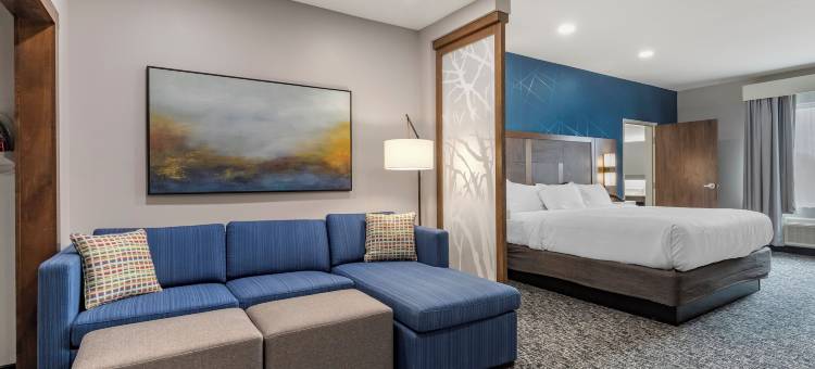 格林维尔机场舒适套房酒店(Comfort Suites Greenville Airport)图片