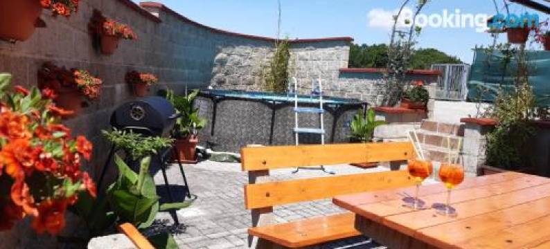 Wellness Penzion Palice图片