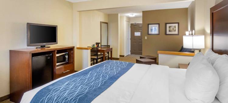 罗克福德舒适酒店(Comfort Inn Rockford Near Casino District)图片