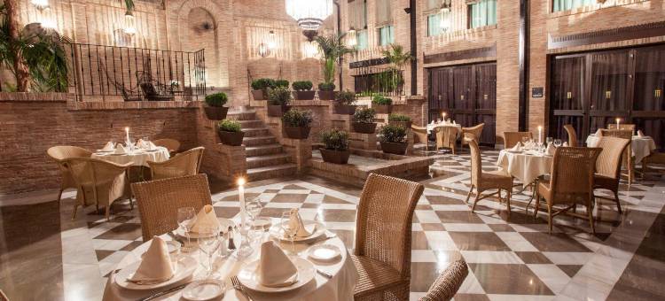 阿尔贝辛炜森酒店(Vincci Albayzin)图片