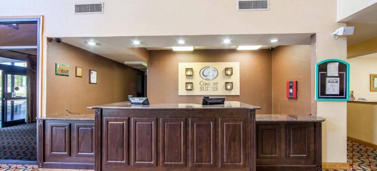 舒适套房酒店(Comfort Suites)图片