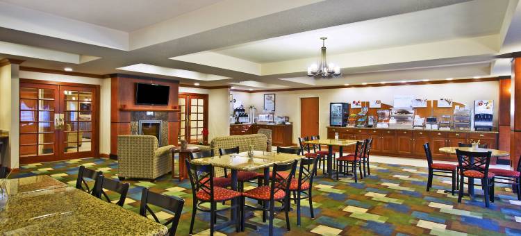 智选假日套房酒店东兰辛(Holiday Inn Express & Suites East Lansing)图片