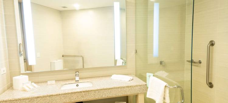 巴兰基亚大西洋希尔顿花园酒店(Hilton Garden Inn Barranquilla)图片