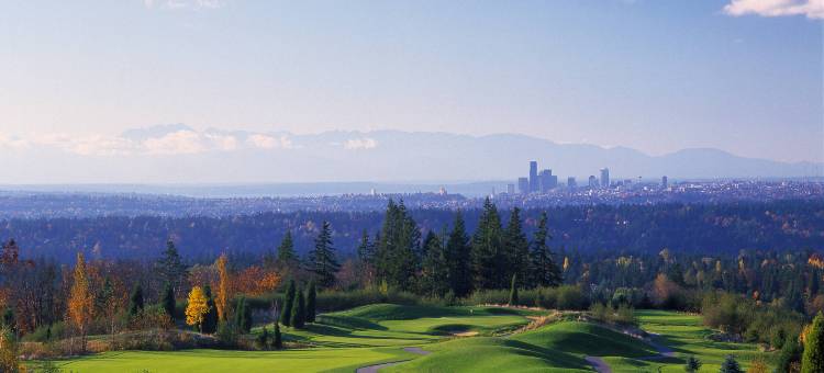 贝尔维尤威斯汀酒店(The Westin Bellevue)图片