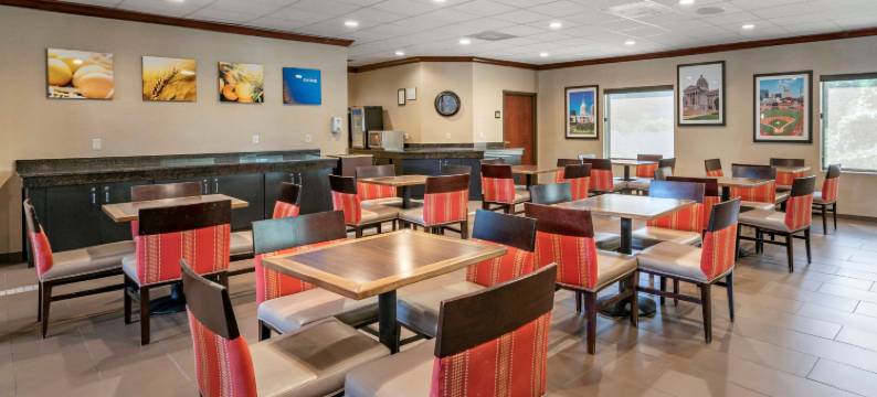 圣路易斯奥法伦舒适套房酒店(Comfort Inn & Suites St Louis-O'Fallon)图片