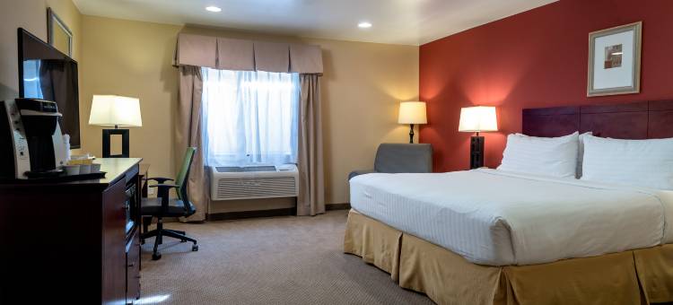 洛杉矶机场霍索恩智选假日套房酒店(Holiday Inn Express Hotel & Suites Los Angeles Airport Hawthorne)图片