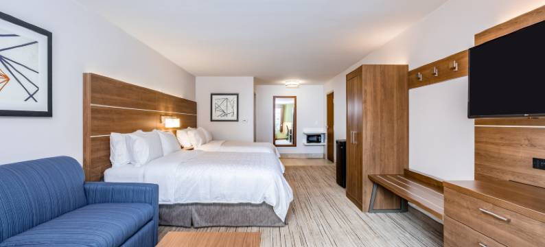 埃尔克哈特北智选假日套房酒店(Holiday Inn Express & Suites ELKHART NORTH by IHG)图片