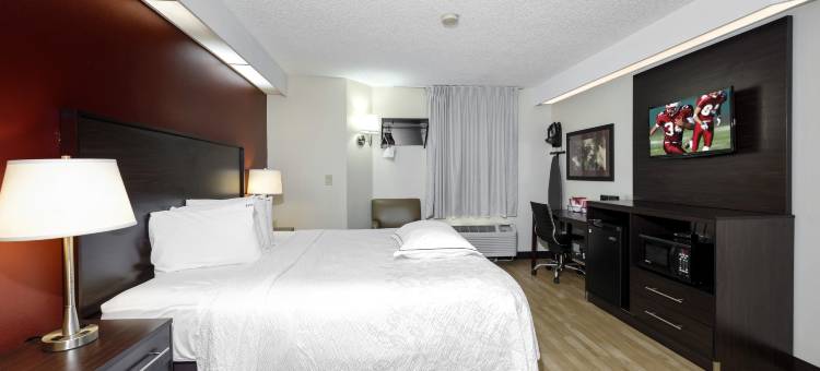 棕榈滩海岸红顶PLUS酒店(Red Roof Plus+ Palm Coast)图片