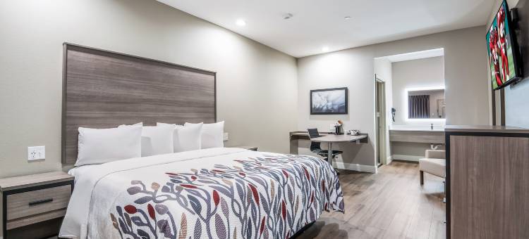 贝敦红顶酒店(Red Roof Inn Baytown)图片