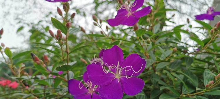 柠檬小仙女民宿(花果山路分店)图片