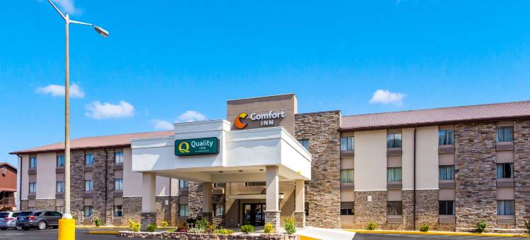 舒适酒店(Comfort Inn)图片