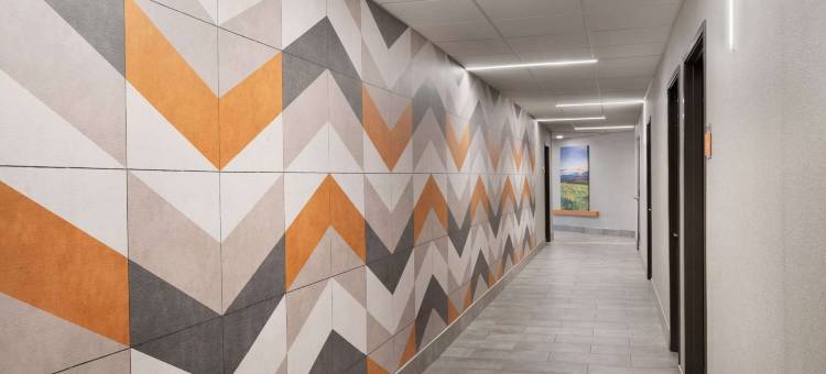 斯普林菲尔德拉昆塔温德姆套房酒店(La Quinta Inn & Suites by Wyndham Springfield)图片