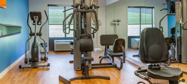 阿米什乡村舒适套房酒店(Comfort Suites Lancaster Amish Country)图片