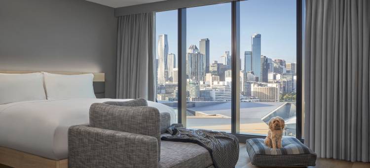 墨尔本南岸万豪AC酒店(AC Hotel Melbourne Southbank)图片