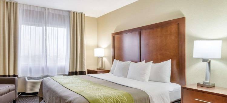 舒适酒店(Comfort Inn)图片