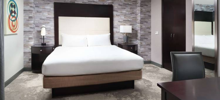 查塔努加市中心希尔顿逸林酒店及度假村(DoubleTree by Hilton Chattanooga Downtown)图片