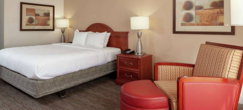 夏洛特北希尔顿花园酒店(Hilton Garden Inn Charlotte North)图片