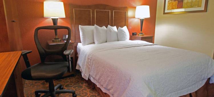 诺福克切萨皮克欢朋酒店(Hampton Inn Norfolk/Chesapeake (Greenbrier Area))图片