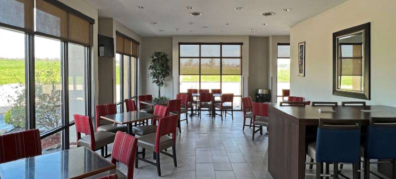 杰克逊开普吉拉多舒适套房酒店(Comfort Suites Jackson-Cape Girardeau)图片