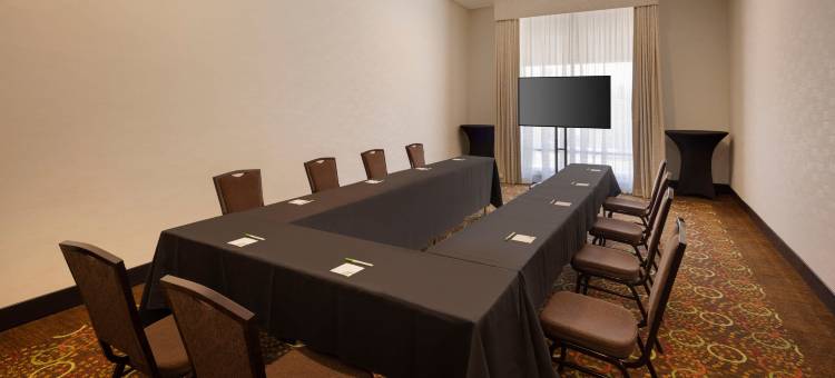 Holiday Inn 圣何塞 - 文娱中心(Holiday Inn San Jose - Silicon Valley)图片