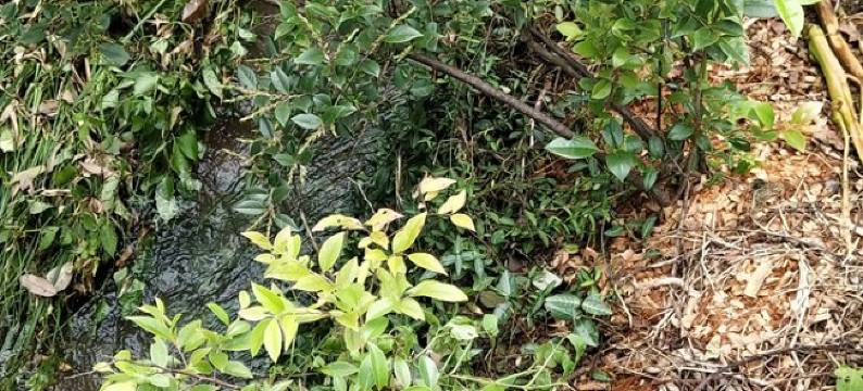 蒋卫云度假别墅(张灵慕公路分店)图片