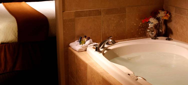 拉伯克希尔顿安泊套房酒店(Embassy Suites by Hilton Lubbock)图片