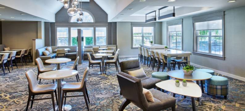 底特律诺维Residence Inn 酒店(Residence Inn Detroit Novi)图片