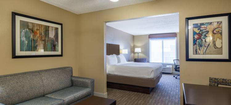 Holiday Inn Express 燃气市(Holiday Inn Express Gas City)图片
