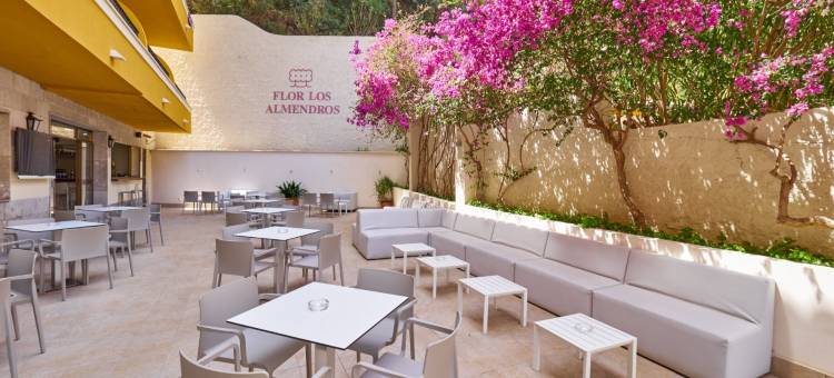 弗洛尔洛杉矶阿尔门德罗斯酒店(Hotel Flor Los Almendros)图片