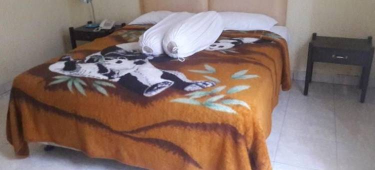 艾尔朗加酒店(Airlangga Hotel)图片
