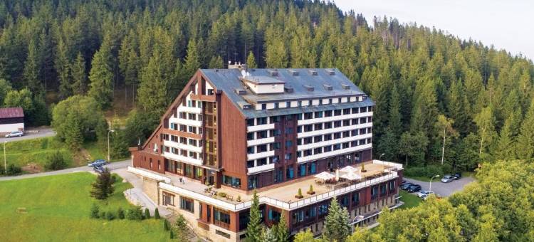 舒马瓦地平线奥雷阿度假酒店(Orea Resort Horizont Šumava)图片