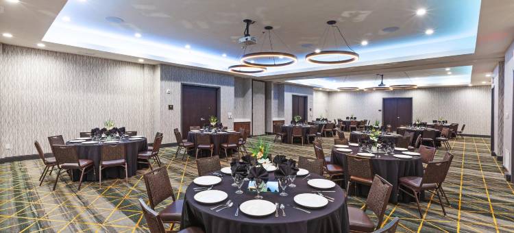 Holiday Inn & Suites 麦金尼的黄金国(Holiday Inn & Suites MCKINNEY - N ALLEN by IHG)图片