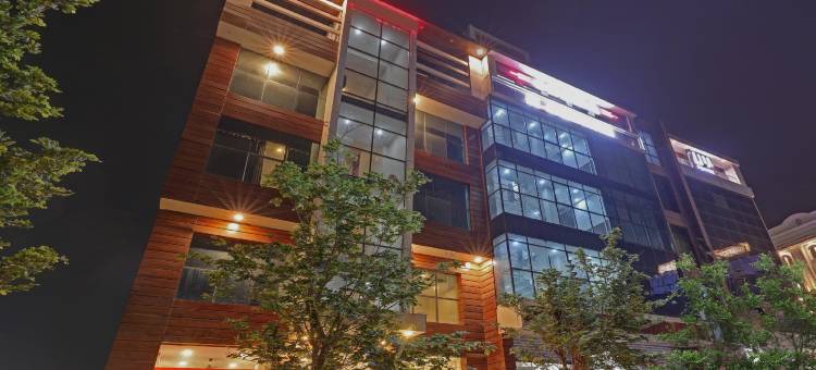 Treebo Silver Stallion图片