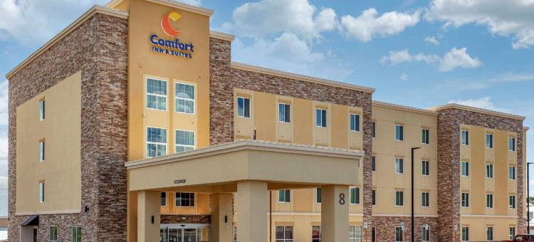 舒适套房酒店(Comfort Inn & Suites)图片