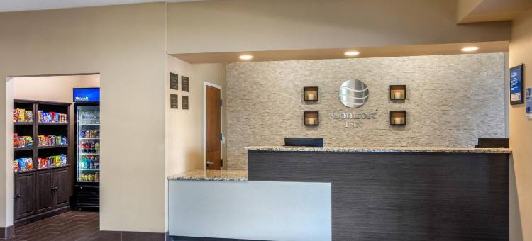 南切斯特菲尔德-科隆尼尔海次舒适酒店(Comfort Inn South Chesterfield - Colonial Heights)图片