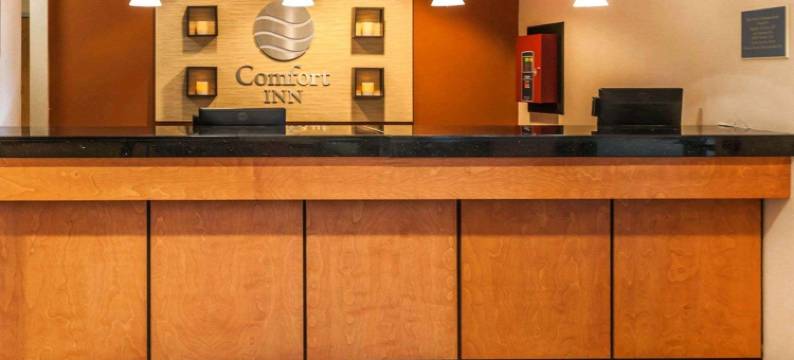 雅芳-印第安纳波利斯西舒适酒店(Comfort Inn Avon-Indianapolis West)图片