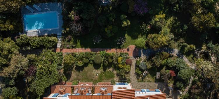 马斯德尔弗洛尔(Mas del Flor)图片