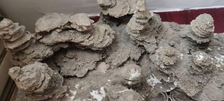 美女战士公寓(柴达木西路分店)图片